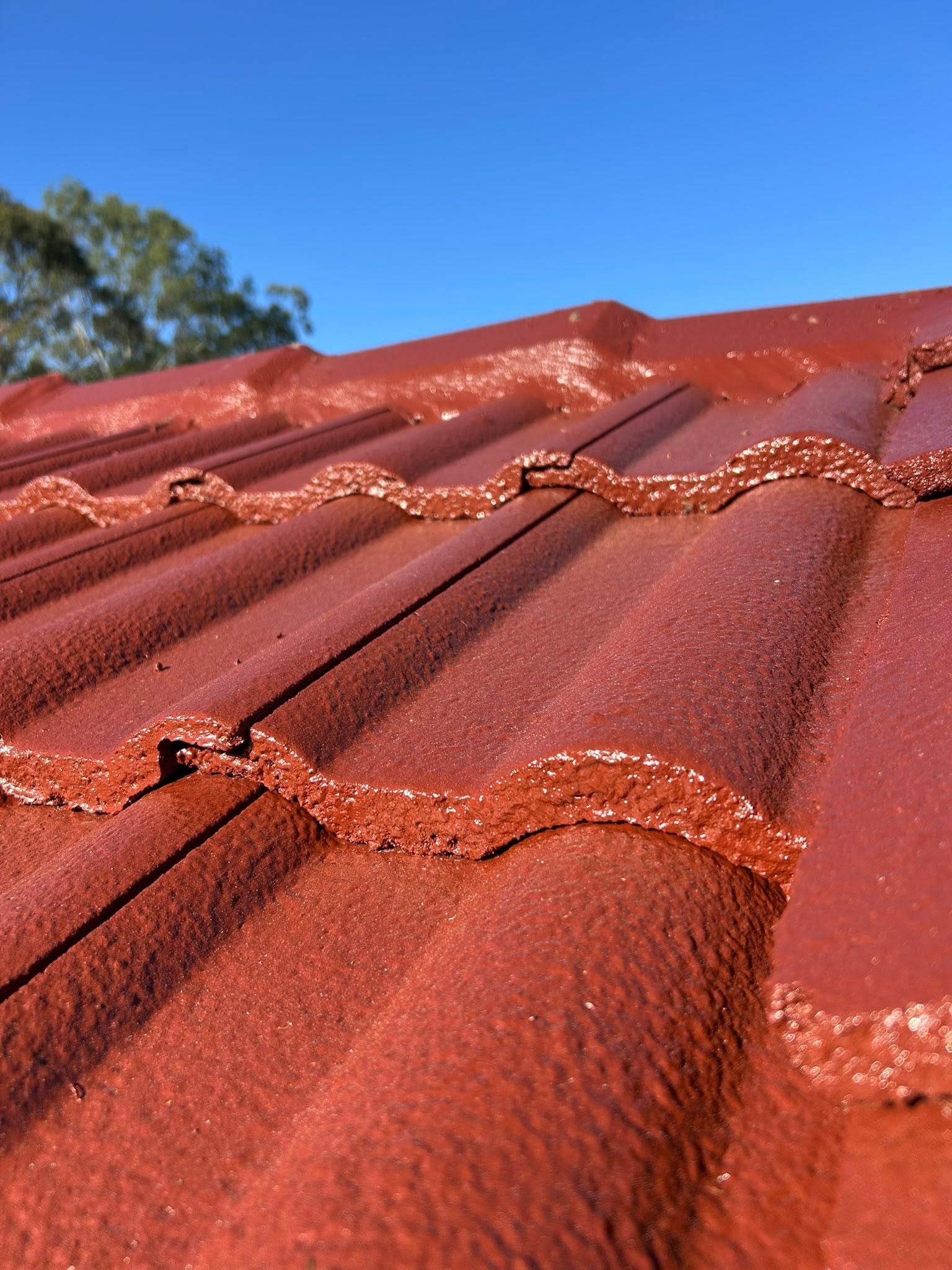 Freshly recoated terracotta tile roof by DR Paint on the Gold Coast