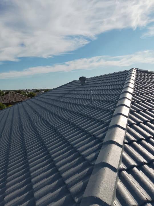 DR Paint roof finish